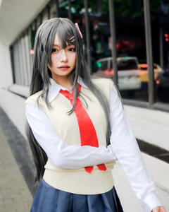 Rascal Does Not Dream of Bunny Girl Senpai — Mai